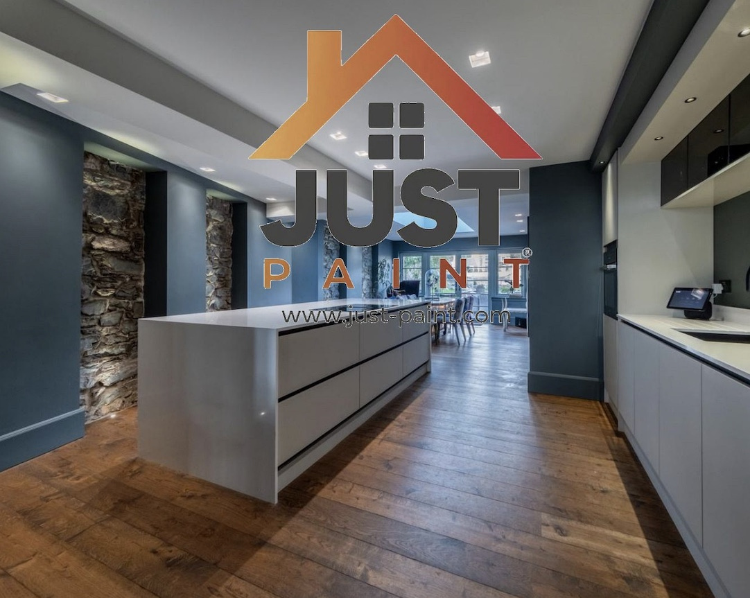 Contemporary Just Paint kitchen